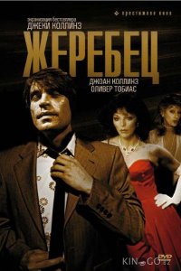 Жеребец 