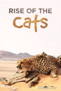 Большие кошки: Удивительная семья 1 2