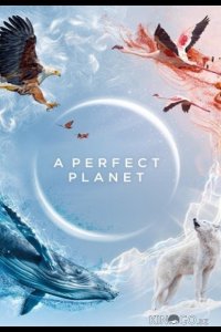 Идеальная планета 1 5