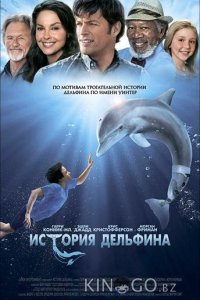 История дельфина 