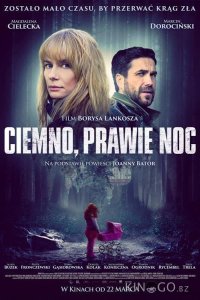 Темно, почти ночь 