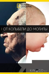 От колыбели до могилы 