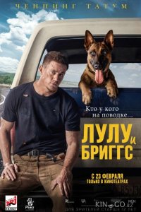 Лулу и Бриггс 