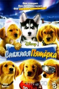 Снежная пятерка 