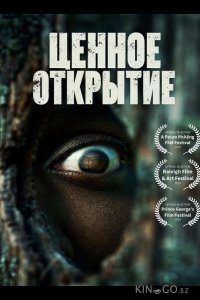 Ценное открытие 