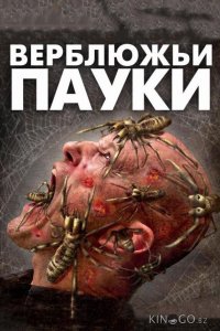 Верблюжьи пауки 