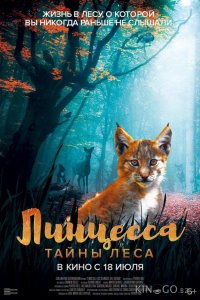 Линцесса. Тайны леса 