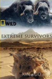 National Geographic. Выжить несмотря ни на что 