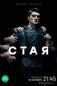 Стая 1 20