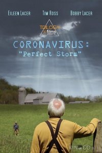 Коронавирус: Идеальный шторм 