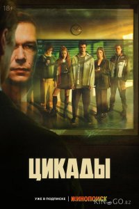 Цикады 1 8