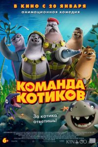Команда котиков 