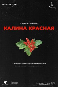 Калина красная 