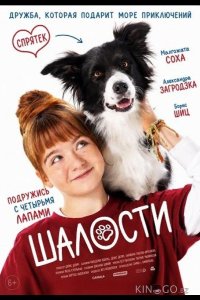 Шалости 