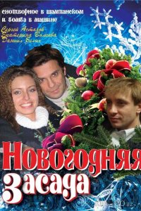 Новогодняя засада 