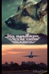 На привязи у взлетной полосы 