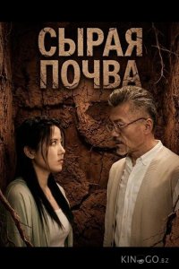 Сырая почва 