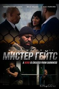Мистер Гейтс 
