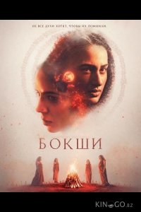 Бокши 