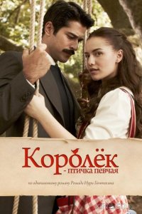 Королёк – птичка певчая 1 30