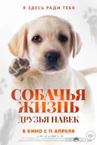 Собачья жизнь: Друзья навек 