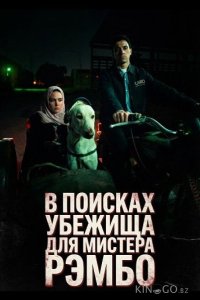 В поисках убежища для мистера Рэмбо 