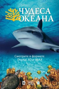 Чудеса океана 3D 