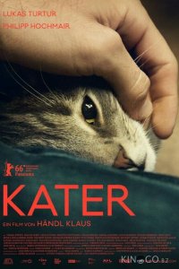 Кот 