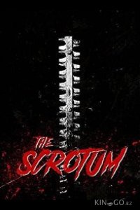 Мошонка: Фильм второй 