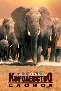 Африка — королевство слонов 