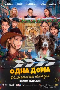 Одна дома: Великолепная пятерка 