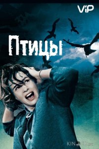 Птицы 