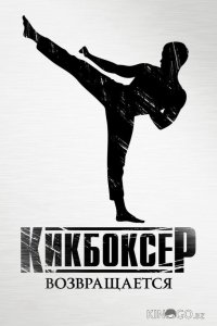 Кикбоксер возвращается 