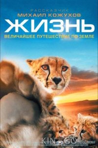Жизнь 