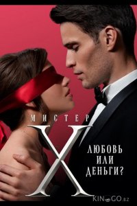 Мистер X 2 6