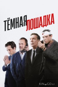 Тёмная лошадка 1 12
