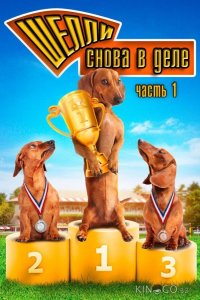Шелли снова в деле: Часть 1 