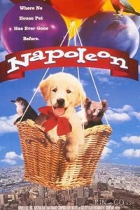 Наполеон 