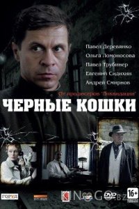Черные кошки 1 12
