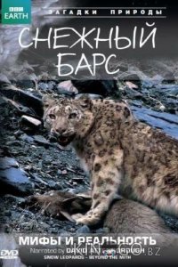 BBC: Снежный барс: Мифы и реальности 1 7
