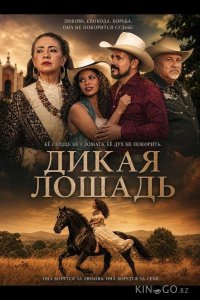 Дикая лошадь 