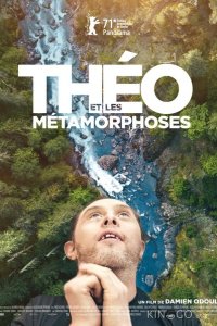 Тео и метаморфозы 