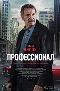 Профессионал 