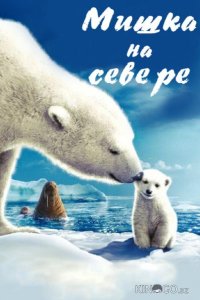 Мишка на Севере 