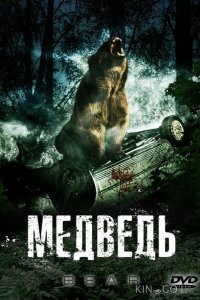 Медведь 