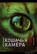 Кошачья камера (2026)